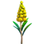 Goldenrod Flower