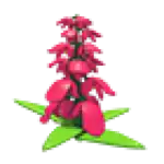 Snapdragon Flower