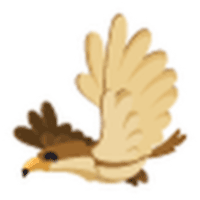 Hawk Sticker