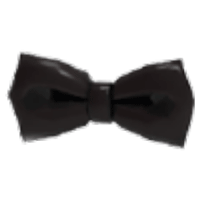 Black Bowtie