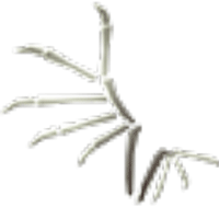Bone Wings