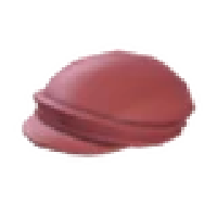 Brim Beanie