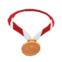 Bronze Medal