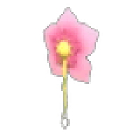 Cherry Blossom Earring
