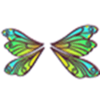 Clubtail Dragonfly Wings