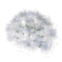Dandelion Hat