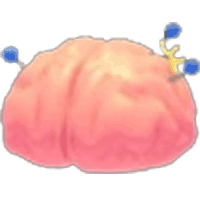 Exposed Brain