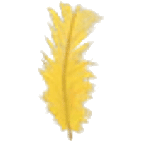 Feather