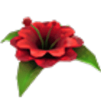Forgotten Flower