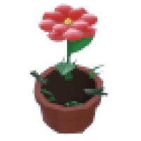 Growing Flower Hat