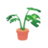 Monstera Plant Pot