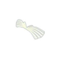 Paper Wings