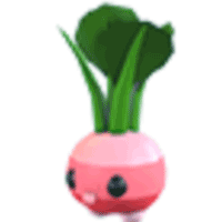 Radish Friend
