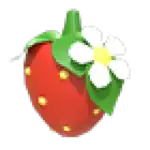 Strawberry Clip