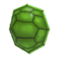 Turtle Shell