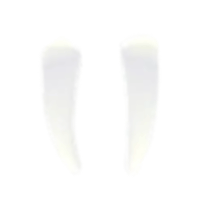 Walrus Tusks