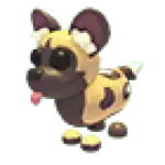 African Wild Dog