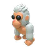 Albino Gorilla