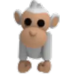 Albino Monkey