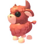 Angus Bull
