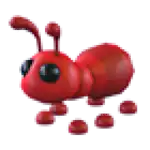 Ant