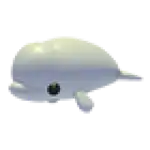 Beluga Whale