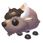 Bison