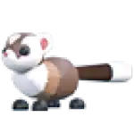 Black-Footed Ferret