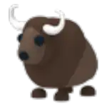 Buffalo