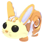 Bunny Swirl
