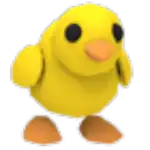Chick