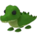 Crocodile