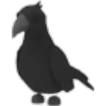 Crow