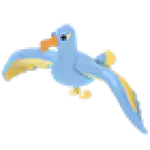 Diamond Albatross
