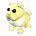 Golden Chow-Chow