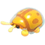 Golden Tortoise Beetle