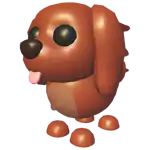 Irish Setter