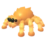 Jumping Spider