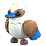 Kookaburra