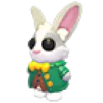 Mr Whiskerpips