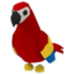 Parrot