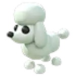 Poodle
