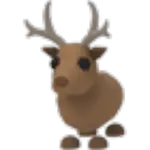 Reindeer