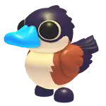 Ruddy Duck