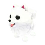 Samoyed