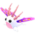 Sea Slug