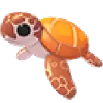 Sea Turtle