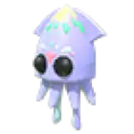 Squid