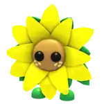 Sunflower Friend