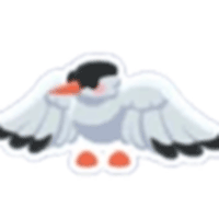 Arctic Tern Sticker